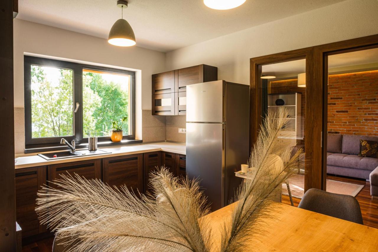 Bazalt Apartments Миеркуря Чук Екстериор снимка